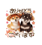 真夏の柴犬ブラザーズ︎︎☺︎（個別スタンプ：33）