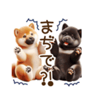 真夏の柴犬ブラザーズ︎︎☺︎（個別スタンプ：36）