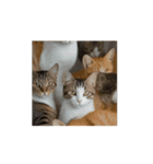 動画生成AIからの猫（個別スタンプ：3）