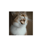 動画生成AIからの猫（個別スタンプ：6）