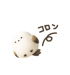 夏を楽しむ✨シマエナガ✨3D（個別スタンプ：14）