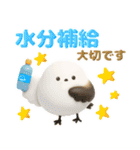 夏を楽しむ✨シマエナガ✨3D（個別スタンプ：22）