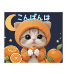 スコティッシュ猫 みかん服 スイカ帽 敬語（個別スタンプ：3）