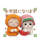 スコティッシュ猫 みかん服 スイカ帽 敬語（個別スタンプ：6）