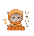 スコティッシュ猫 みかん服 スイカ帽 敬語（個別スタンプ：10）