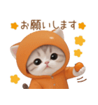 スコティッシュ猫 みかん服 スイカ帽 敬語（個別スタンプ：11）