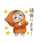 スコティッシュ猫 みかん服 スイカ帽 敬語（個別スタンプ：16）