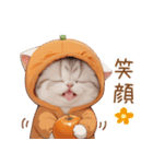 スコティッシュ猫 みかん服 スイカ帽 敬語（個別スタンプ：18）