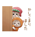 スコティッシュ猫 みかん服 スイカ帽 敬語（個別スタンプ：19）
