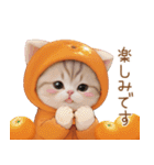 スコティッシュ猫 みかん服 スイカ帽 敬語（個別スタンプ：20）