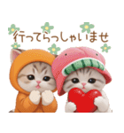 スコティッシュ猫 みかん服 スイカ帽 敬語（個別スタンプ：22）