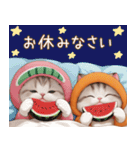 スコティッシュ猫 みかん服 スイカ帽 敬語（個別スタンプ：31）