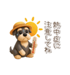 夏の3Dシュナウザー【かわいい・連絡】（個別スタンプ：7）