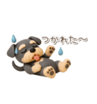 夏の3Dシュナウザー【かわいい・連絡】（個別スタンプ：20）