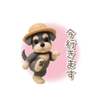 夏の3Dシュナウザー【かわいい・連絡】（個別スタンプ：25）