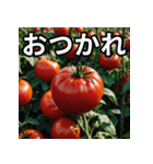 毎日送れる夏の食べ物スタンプ（個別スタンプ：6）