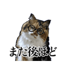Vtuberディス山ディス子の敬語スタンプ（個別スタンプ：1）