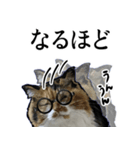 Vtuberディス山ディス子の敬語スタンプ（個別スタンプ：2）