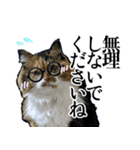 Vtuberディス山ディス子の敬語スタンプ（個別スタンプ：3）