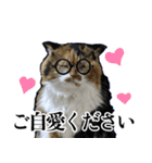Vtuberディス山ディス子の敬語スタンプ（個別スタンプ：4）