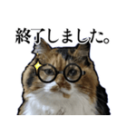 Vtuberディス山ディス子の敬語スタンプ（個別スタンプ：5）