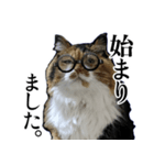 Vtuberディス山ディス子の敬語スタンプ（個別スタンプ：9）