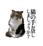 Vtuberディス山ディス子の敬語スタンプ（個別スタンプ：12）