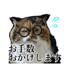 Vtuberディス山ディス子の敬語スタンプ（個別スタンプ：13）