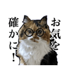 Vtuberディス山ディス子の敬語スタンプ（個別スタンプ：14）