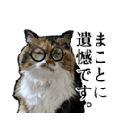 Vtuberディス山ディス子の敬語スタンプ（個別スタンプ：15）