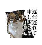 Vtuberディス山ディス子の敬語スタンプ（個別スタンプ：16）