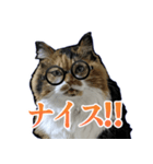 Vtuberディス山ディス子の敬語スタンプ（個別スタンプ：17）