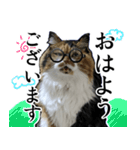 Vtuberディス山ディス子の敬語スタンプ（個別スタンプ：19）