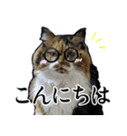 Vtuberディス山ディス子の敬語スタンプ（個別スタンプ：20）