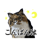 Vtuberディス山ディス子の敬語スタンプ（個別スタンプ：21）