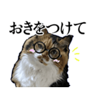 Vtuberディス山ディス子の敬語スタンプ（個別スタンプ：23）