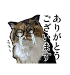 Vtuberディス山ディス子の敬語スタンプ（個別スタンプ：24）