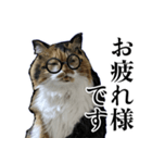 Vtuberディス山ディス子の敬語スタンプ（個別スタンプ：28）