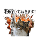 Vtuberディス山ディス子の敬語スタンプ（個別スタンプ：29）