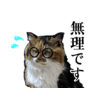 Vtuberディス山ディス子の敬語スタンプ（個別スタンプ：31）