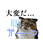 Vtuberディス山ディス子の敬語スタンプ（個別スタンプ：32）
