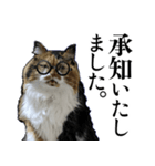 Vtuberディス山ディス子の敬語スタンプ（個別スタンプ：34）
