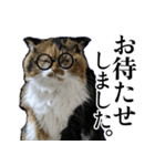 Vtuberディス山ディス子の敬語スタンプ（個別スタンプ：35）