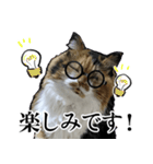 Vtuberディス山ディス子の敬語スタンプ（個別スタンプ：36）
