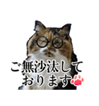 Vtuberディス山ディス子の敬語スタンプ（個別スタンプ：37）