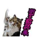 Vtuberディス山ディス子のフランクスタンプ（個別スタンプ：12）
