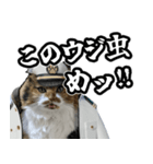 Vtuberディス山ディス子のフランクスタンプ（個別スタンプ：28）