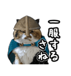 Vtuberディス山ディス子のフランクスタンプ（個別スタンプ：30）