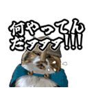 Vtuberディス山ディス子のフランクスタンプ（個別スタンプ：31）