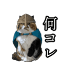 Vtuberディス山ディス子のフランクスタンプ（個別スタンプ：36）